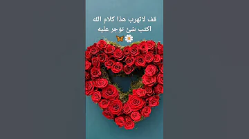 ٢٠ مايو ٢٠٢٥ 
