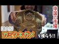 【中国】市場に売られているカミツキガメを喰らう【珍食材】