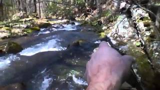 SpinWild-Techniques-IMG 0001