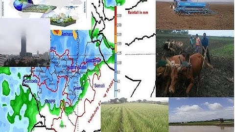 Agrometeorology Advisory