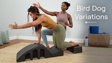 Bird Dog Core Challenge | Oblique Strength Variations for Stability | Exercise Break