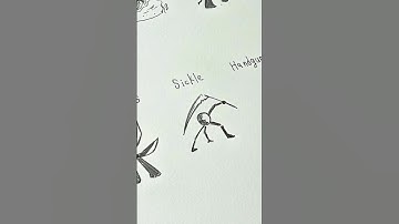 How to draw body with (Twinswords,Sickie,Handgun)#drawing #art #stickman #tutorial #fpy #sketch