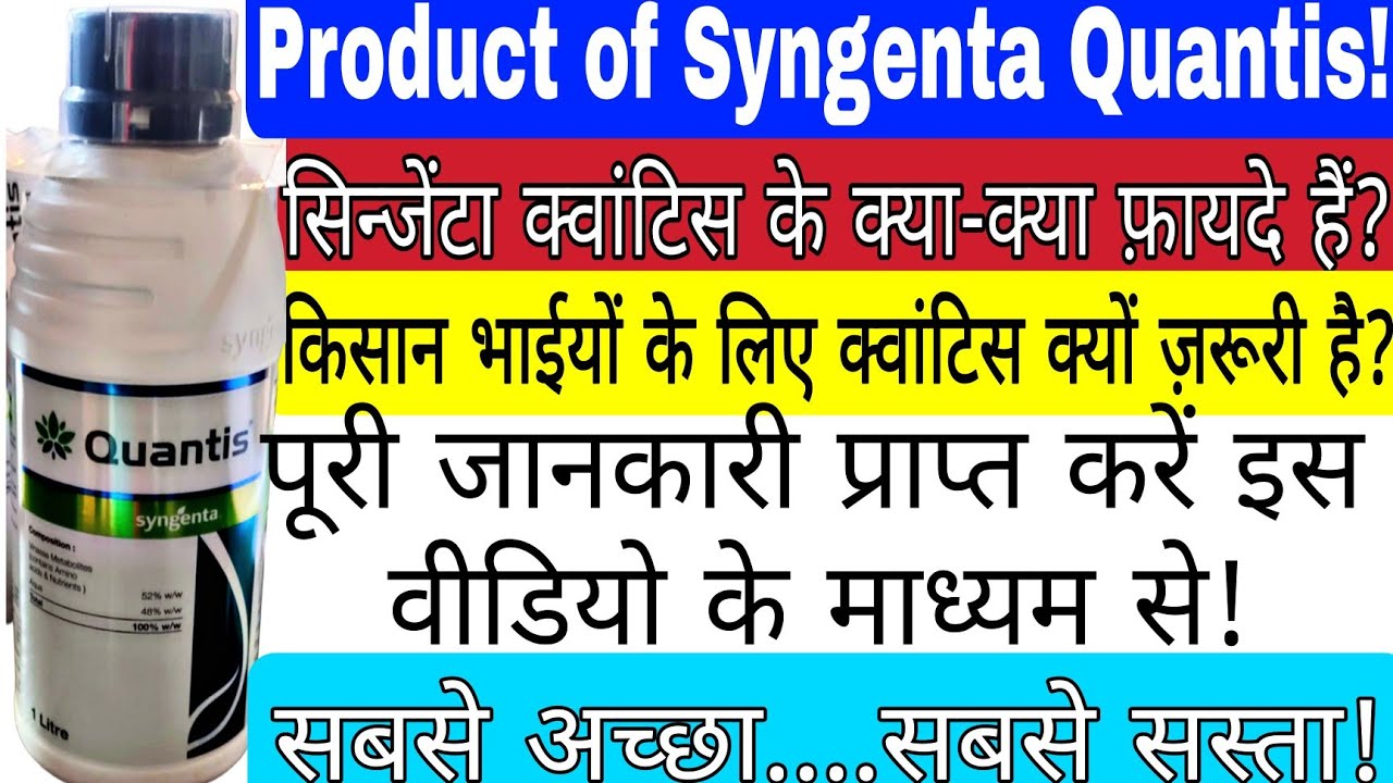 Syngenta Quantis | Use of Syngenta Quantis | Quantis dose | How does it ...