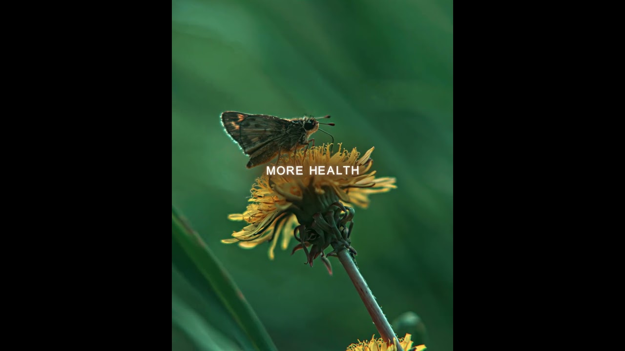 This Is A Good Return On Investment - Joel Salatin Edit