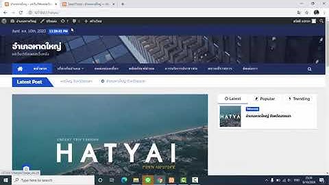 ปลั๊กอิน Plugin น่าใช้บน Wordpress - Seed Font