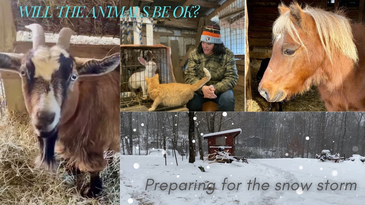 10-18 дюймов снега || ожидаются минусовые температуры