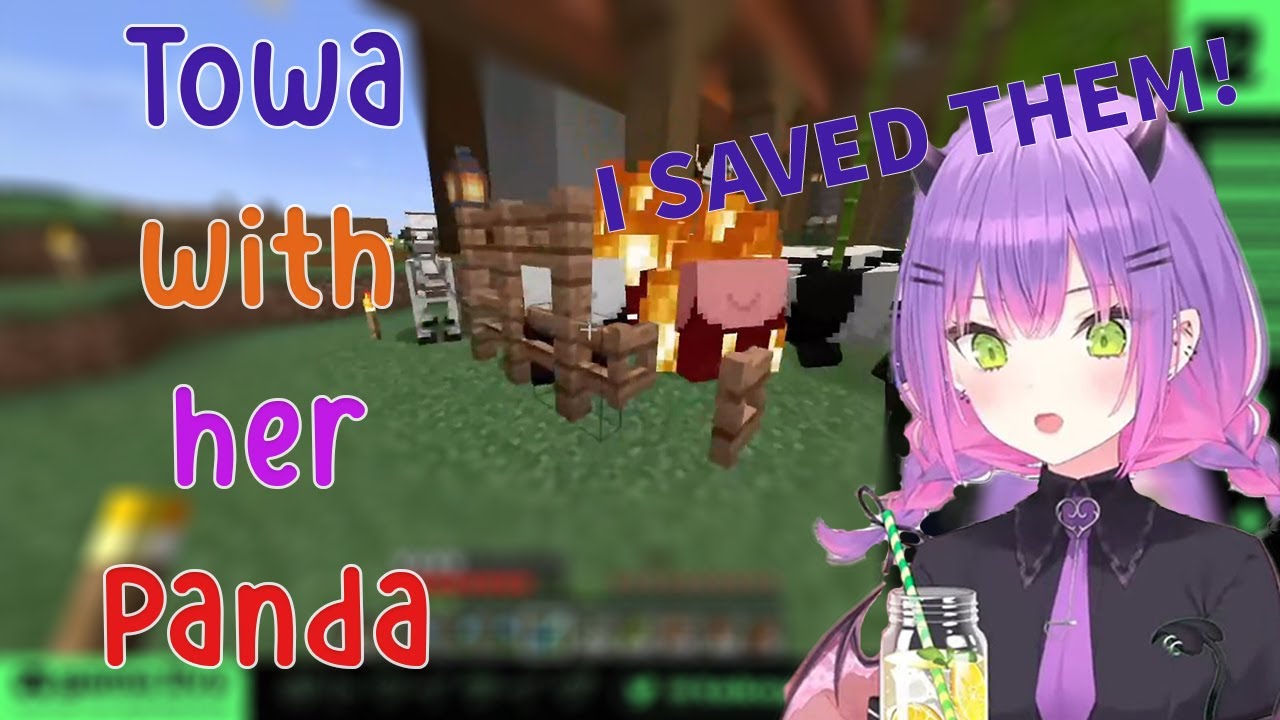 Towa Clarified that She's "Saving" her Panda in Minecraft!!!