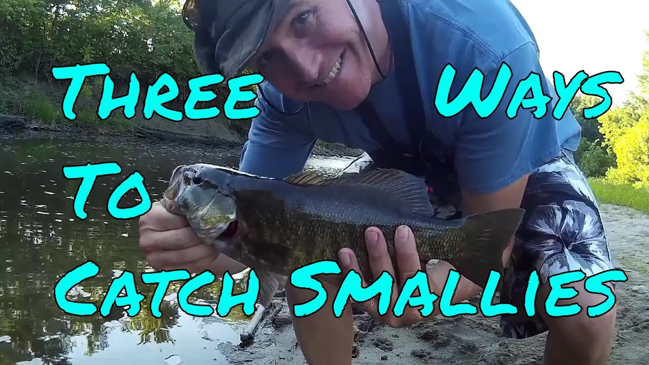 Three Ways to Catch Smallmouth Bass Soft Plastics, Live Chubs & Top