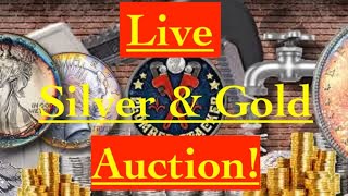 Rare Coin Auction! Silver & Gold Stacking