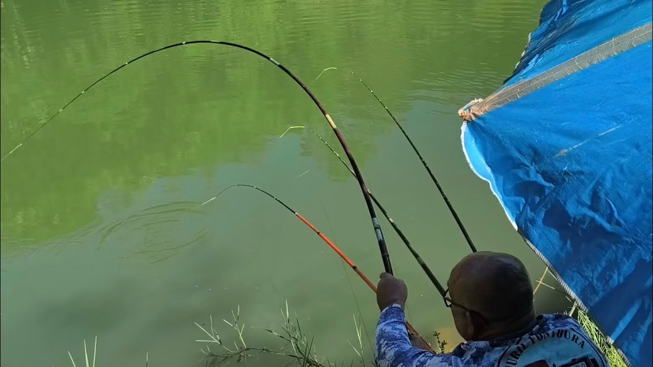 É TILÁÁÁPIAAA, NA BARATINHA, NAZARÉ PAULISTA SP 
