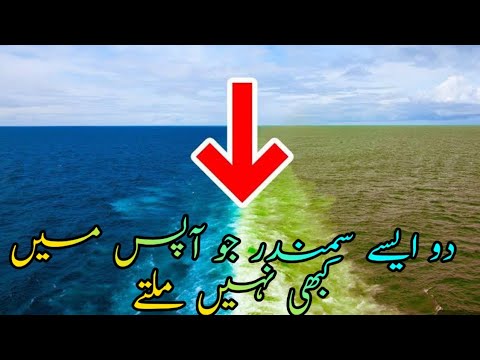 Video Amazing Facts About Gulf Of Alska Where 2 Oceans Meet But Dont Mix