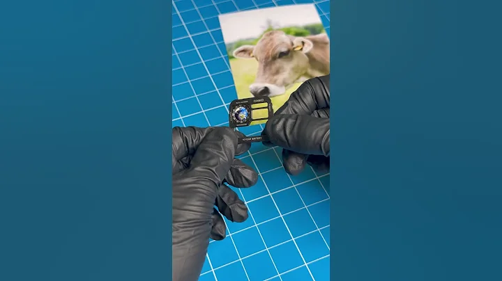 This watch has a major flaw #casiomods #royale #casio #watches #nostalgia #ae1200