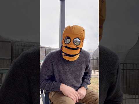 Next Level Winter Hat #winter #snow #amazonfinds