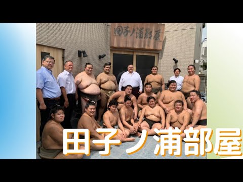 田子ノ浦親方の動画 画像 動画検索 マイルドサイト