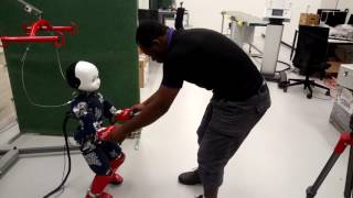 Celebrity Capture-Point based Balance and Reactive Omnidirectional Walking Controller Profile
