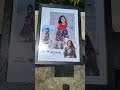A4 bdy frame.. #frames #bdy #gift #customized #shortvideo #youtubeshorts #craft #kerala #allindia