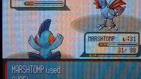 Pokemon ruby walkthrough part 45