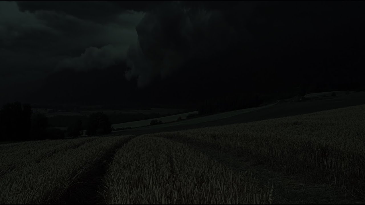 Silvergrass Meadow In A Thunderstorm With Rumbling Thunder | Dark Clouds At Night Relaxing For Sleep