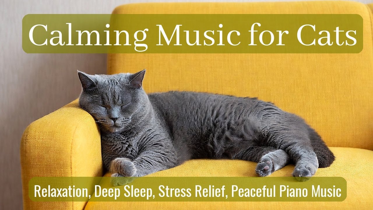 Calming Music for Cats - Relaxation, Deep Sleep, Stress Relief, Peaceful Piano Music | Season 66