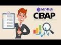 CBAP || Learn how to Plan Business analysis and Technique || CBAP Training