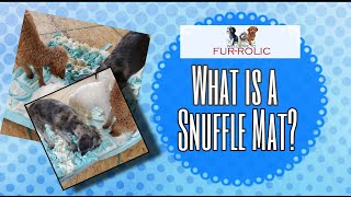 What is a Snuffle Mat? Best Dog Toy stimulate your Dogs Mind.