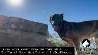 Tip Top K9 Owasso Franchisee Testimonial
