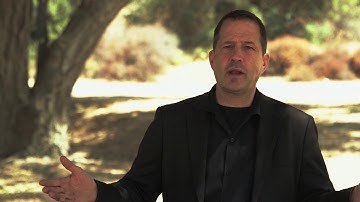 Egan Airships - Plimp by Joel Desile