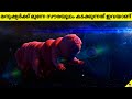 First Interstellar🌌Astronauts👨‍🚀Will Be Tardigrades🐛🤯| Facts Malayalam | 47 ARENA #shortsmalayalam