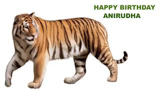 Anirudha   Animals & Animales - Happy Birthday