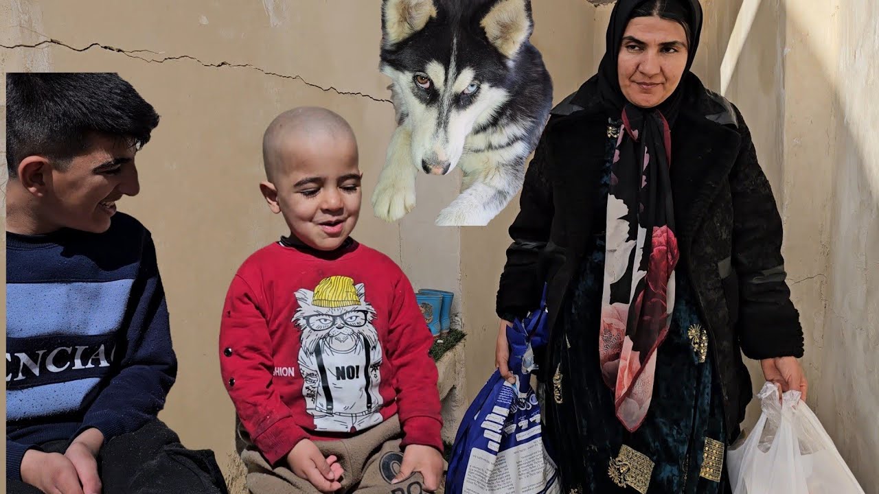 Горная семья, стрижка и последовавший за ней хаос