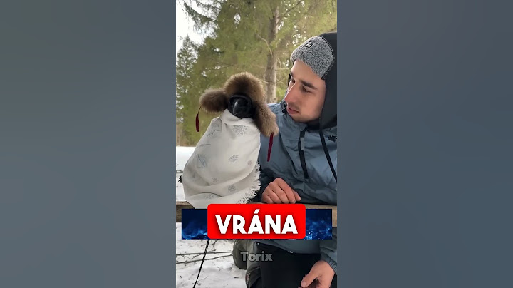 Chytrá vrána s vysokým IQ