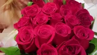 Martina McBride’s Valentine  By Francesca Cavaliere International Singer  Happy Valentine’s Day