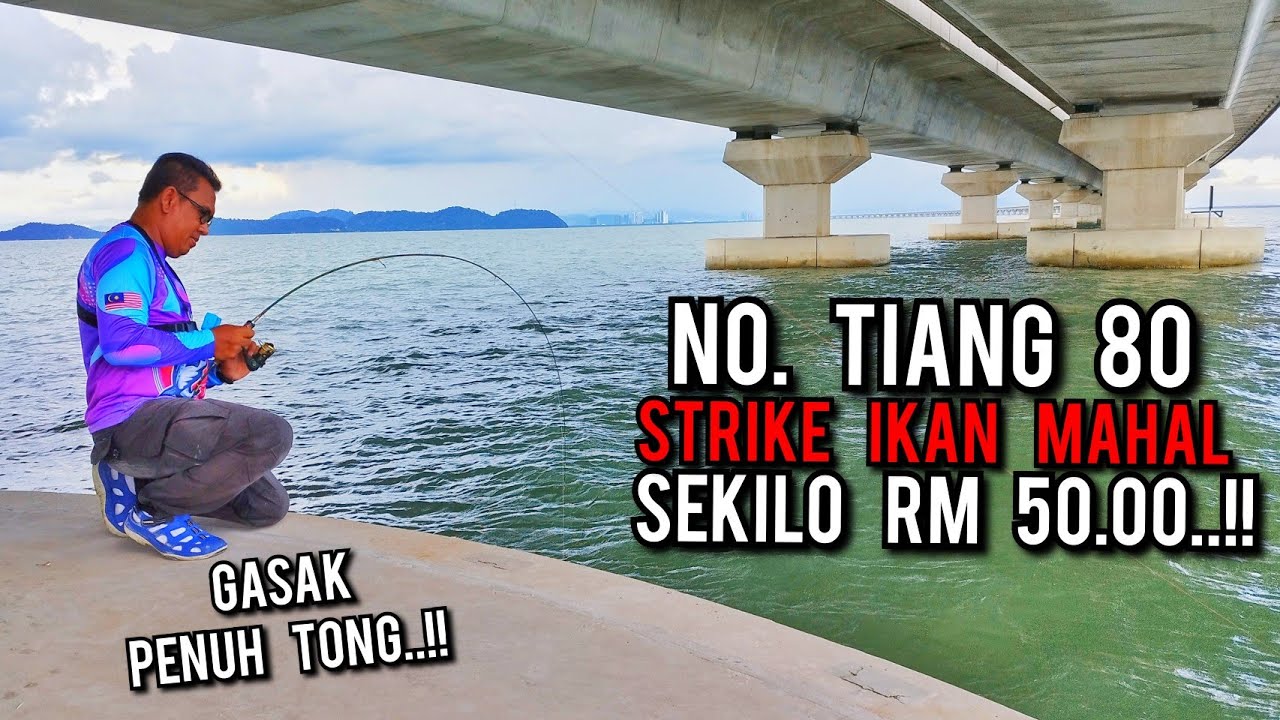 TIANG 80 BANYAK IKAN MAHAL | JAMBATAN KEDUA PULAU PINANG
