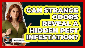 Can Strange Odors Reveal A Hidden Pest Infestation? - Insects and Invaders