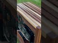 Literally “Rooted in Performance” #woodworking #computerhardware #gaming #computerbuild #pcbuild