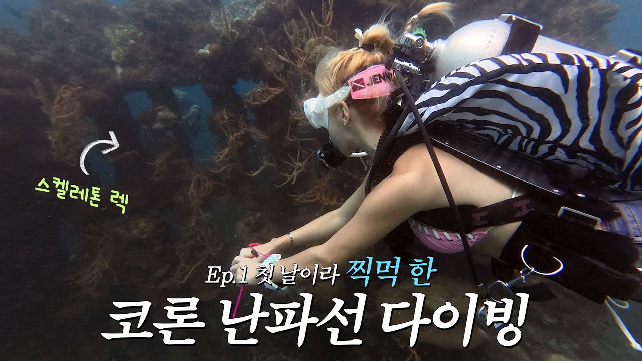 [Ep.1] 난파선 다이빙 찍먹해봤습니다🙌 (ft. Skeleton Wreck) | 필리핀 코론 스쿠버다이빙 브이로그 | 바다이브