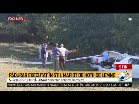 Pădurar executat în stil mafiot de hoții de lemne, în Maramureș. Bărbatul a fost împușcat î