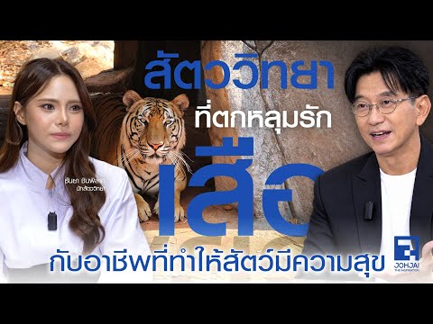 Spot : สัตววิทยาที่ตกหลุมรัก "เสือ" กับอาชีพที่ทำให้สัตว์มีความสุข "ธันยา ชินพิลาศ"