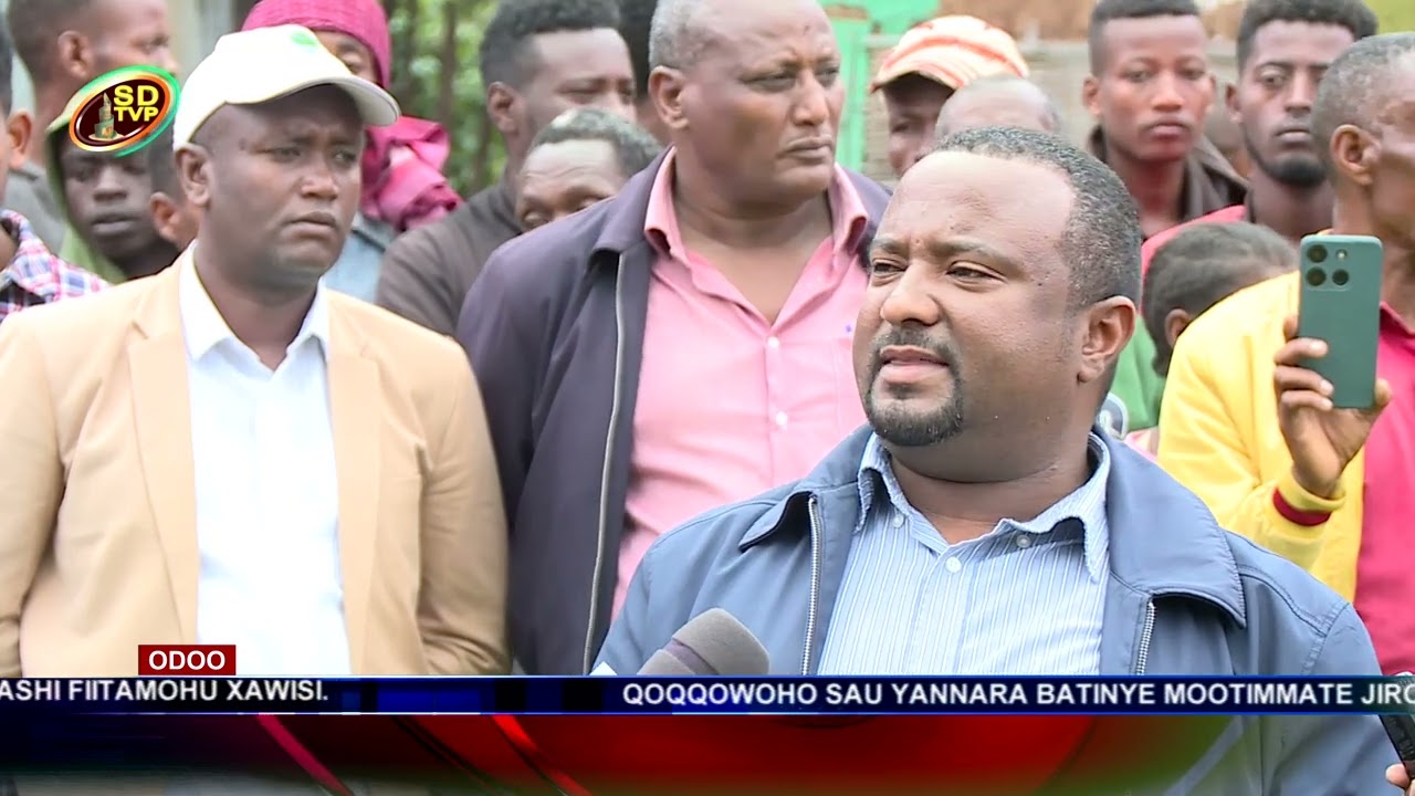 Sidaamu Televizhiine Odoo 11 11 2015 2