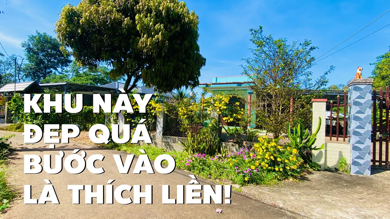 Bán đất vườn đẹp mê sẵn 300m2 thổ cư ở Kim Long, BR-VT xem là thích