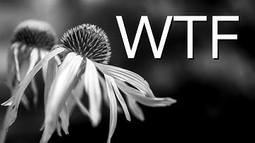 Infrared Nature Photography: WHAT Was I Thinking?!