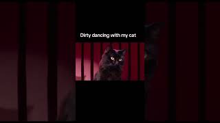 Dirty dancing with my cat #dirtydancing #movie #edit #cat