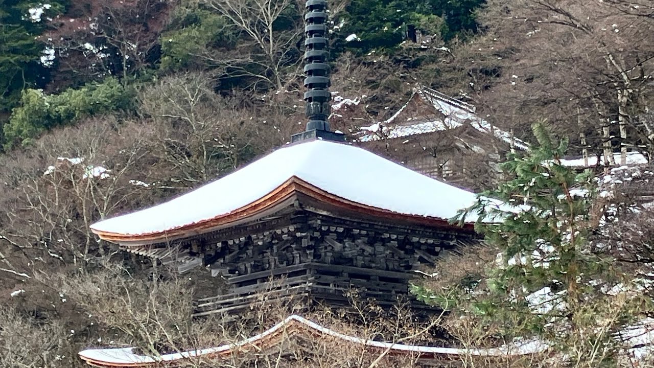 舞鶴市 雪の金剛院 上層に雪 2026.1.28 - YouTube