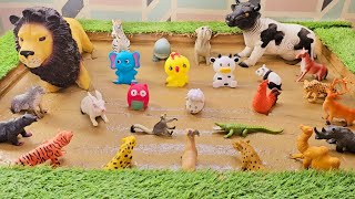 Pets And Forest Friends In The Mud A Secret Life Of Cute Animals Revealed