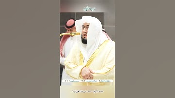 تلاوة خاشعة 🕊 سورة  الزمر  🕊  #لفضيلة_للشيخ أ.د #بندر بن عبد العزيز #بليلة