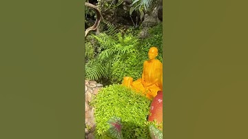 sư minh tuệ - làm tiểu cảnh sân vườn