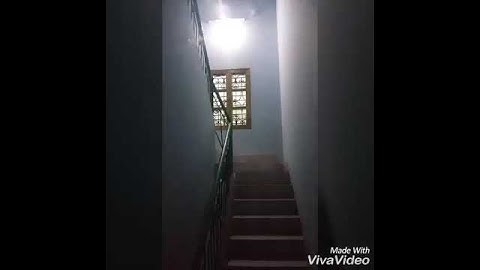 Bóng cảm biến lắp ở cầu thang