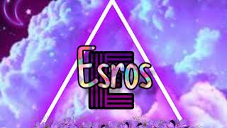 Intro von Nisrin und Daria die esros