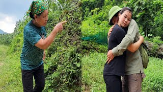 Hung goes to work far away, Huong picks up snails to sell at the market.