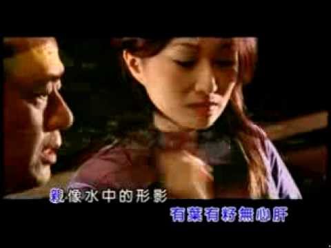 王瑞霞  情難捨 26301 好聽